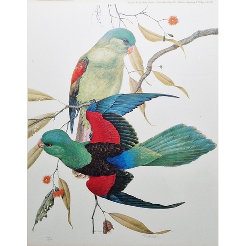 313 - After Robin Hill (Australian 1932-)
 Colour print
 Two limited edition prints of parrots, signed and... 