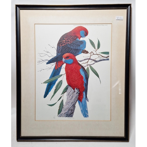 313 - After Robin Hill (Australian 1932-)
 Colour print
 Two limited edition prints of parrots, signed and... 