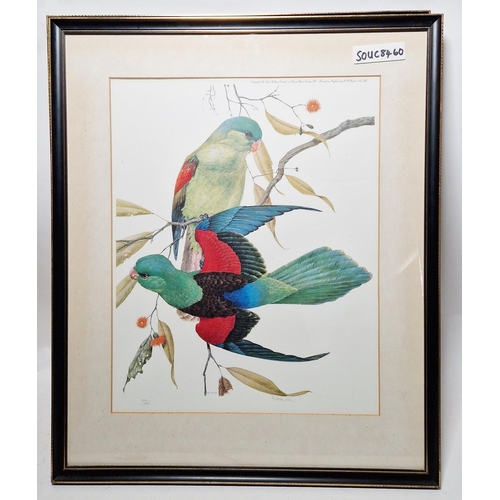 313 - After Robin Hill (Australian 1932-)
 Colour print
 Two limited edition prints of parrots, signed and... 