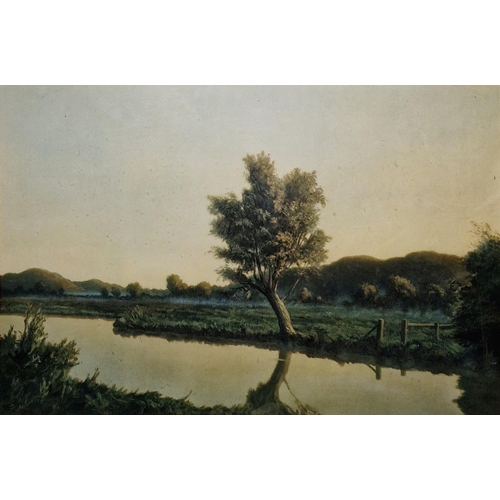 317 - After Algernon Newton (1880-1968)
 Colour print
 River landscape with tree, signed in pencil within ... 