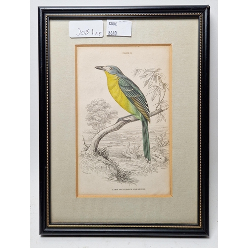 320 - After Frederick P. Nodder, (Pub, 1751-1800)
 Two hand coloured engravings of birds, each with the pu... 