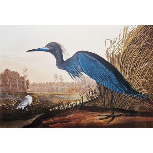 322 - After John James Audubon (1785-1851)
 Colour print
 