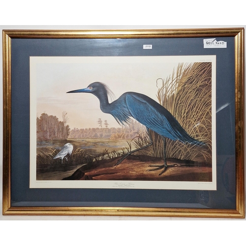 322 - After John James Audubon (1785-1851)
 Colour print
 