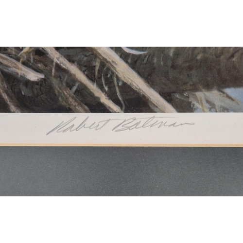 325 - After Robert Bateman (b.1930)
 Colour lithograph
 Three limited edition prints to include 