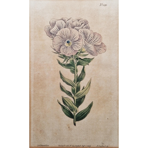 327 - After Sydenham Edwards (1768-1819)
 Five hand-coloured botanical engravings
 Each titled, published ... 