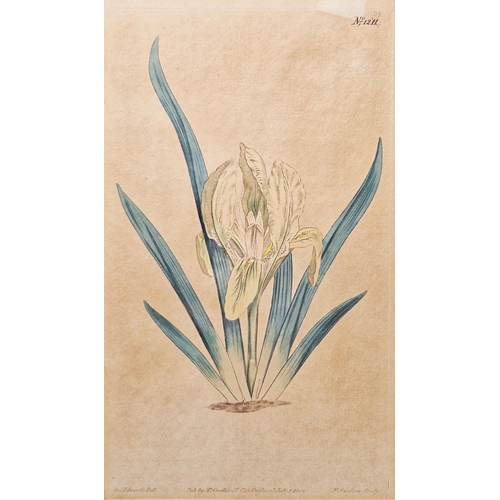 327 - After Sydenham Edwards (1768-1819)
 Five hand-coloured botanical engravings
 Each titled, published ... 