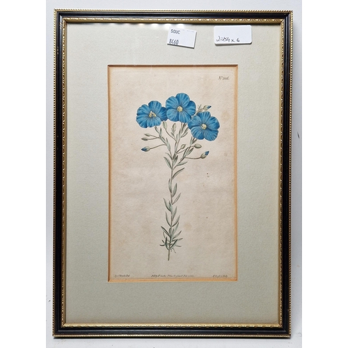 327 - After Sydenham Edwards (1768-1819)
 Five hand-coloured botanical engravings
 Each titled, published ... 