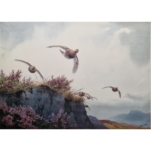 330 - After John Cyril Harrison (1898-1985)
 Two limited edition prints in colours, the first of two snipe... 