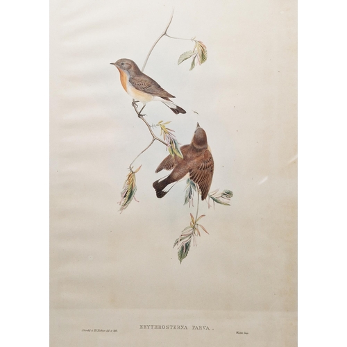 331 - After John Gould (1804-1881) and W Hart 
 Eight ornithological lithographs
 Each pub. by Walter, inc... 