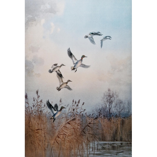 332 - After John Cyril Harrison (1898-1985)
 Two limited edition prints in colours, the first of ducks in ... 