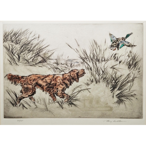 337 - Henry Wilkinson (1921-2011) 
 Set of three coloured etchings 
 Gundogs and various fowl, each signed... 