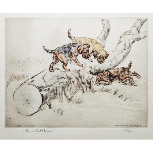 337 - Henry Wilkinson (1921-2011) 
 Set of three coloured etchings 
 Gundogs and various fowl, each signed... 