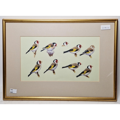 370 - 20th century school
 Two ornithological studies, gouache on paper 
 The first with studies of goldfi... 