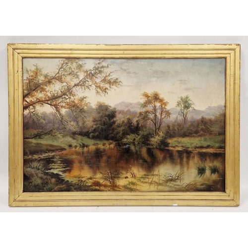 395 - 19th century English school
 Oil on canvas
 River landscape, framed, 51cm x 76cm