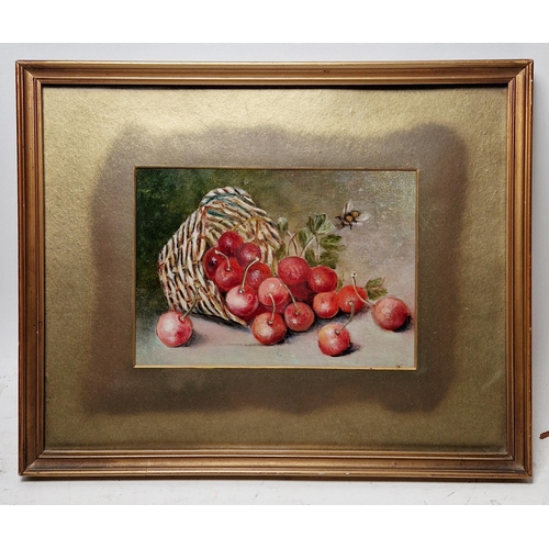 399 - Unattributed
 Oil on board
 Still life, cherries and a basket, 13cm x 19cm