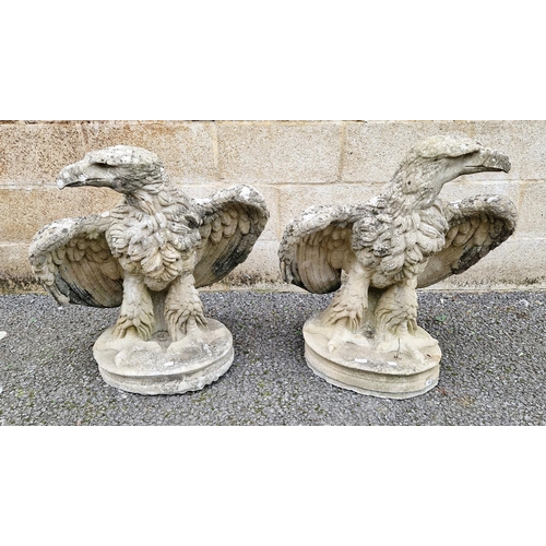 1353 - Pair of composite stone garden statues in the form of opposing eagles, wings displayed, on oval base... 