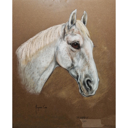 321 - Marjorie Cox (1915-2003)
 Two portraits of horses, pastel on paper
 Titled 'Hoppy' and 'Charlie', da... 