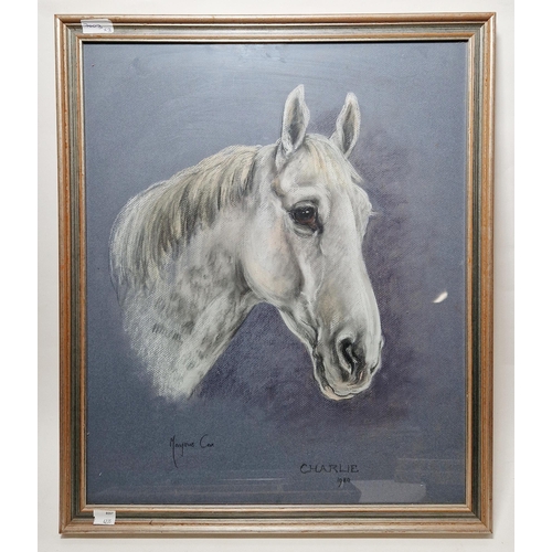 321 - Marjorie Cox (1915-2003)
 Two portraits of horses, pastel on paper
 Titled 'Hoppy' and 'Charlie', da... 