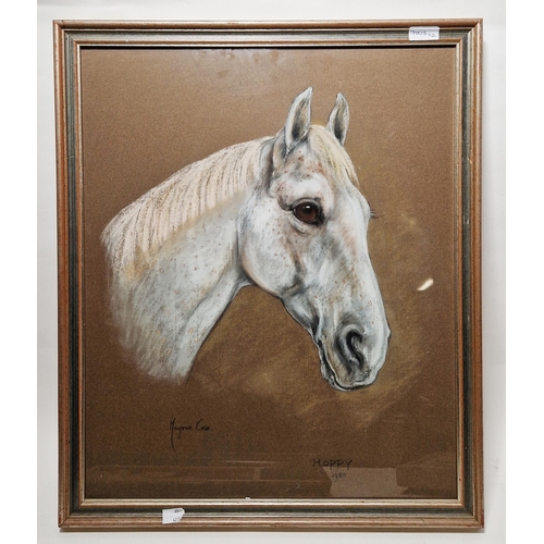 321 - Marjorie Cox (1915-2003)
 Two portraits of horses, pastel on paper
 Titled 'Hoppy' and 'Charlie', da... 