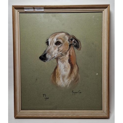 322 - Marjorie Cox (1915-2003)
 Pastel on paper
 Portrait of a greyhound or whippet, titled Fi, 1965, sign... 