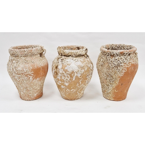 50 - Set of three terracotta jars with integral holes for rope handles and bearing encrustation, 30cm hig... 