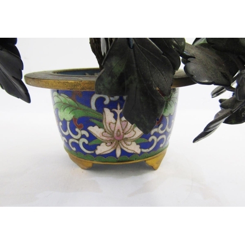 113 - Chinese hardstone and jade bonsai tree in circular cloisonne enamel planter with lotus blossom decor... 