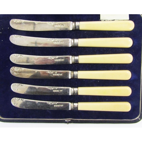 256 - Set of six cased George V silver bladed butter knives, Sheffield 1921, Frank Cobb & Co, together wit... 