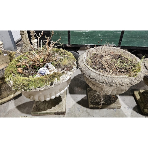 1240 - Pair of composite stone garden terrace urns of campana form, with moulded acanthus leaf rim and gadr... 