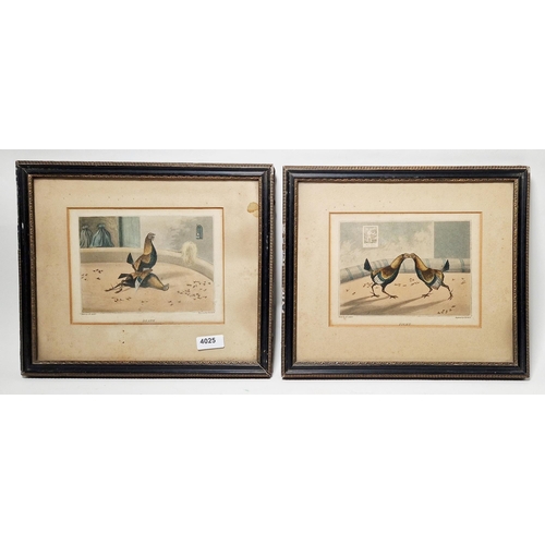 244 - Henry Thomas Alken (1785 - 1851)
  Set of four 19th century cockfighting coloured engravings, engrav... 