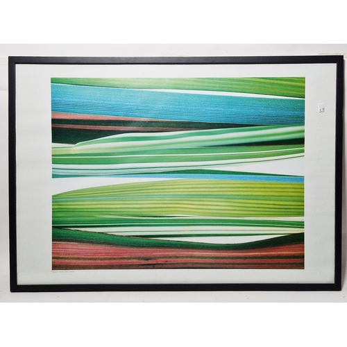 250 - After Fleur Olby (contemporary)
 Colour print
 