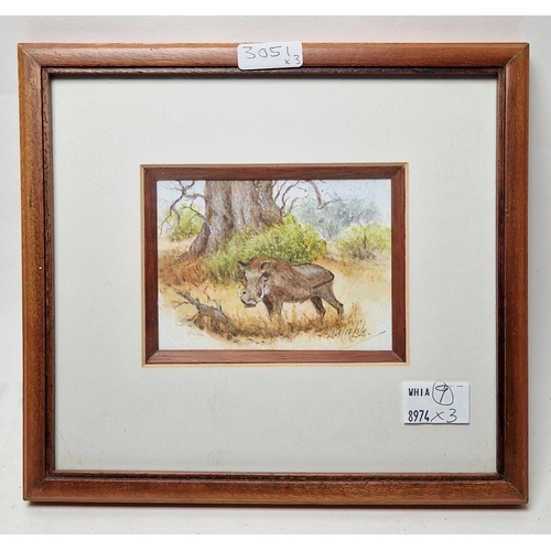 300 - 21st Century School
 Three small watercolours on paper
 Comprising: a warthog, signed Laga Carlise, ... 