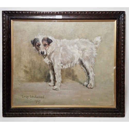 356 - Lucy Lockwood (British, active 1896–1934)
 Oil on canvas
 Study of a wire-haired terrier, signed and... 