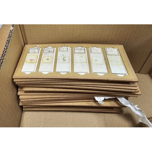 175 - Collection of early to mid 20th century medical and scientific equipment including cased set of biol... 