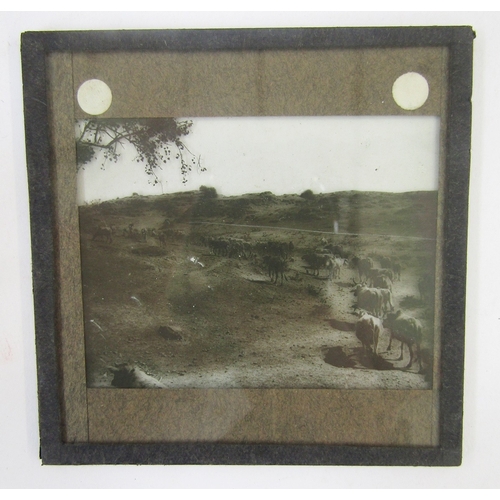 102 - Quantity of early 20th century magic lantern glass slides (3 boxes)