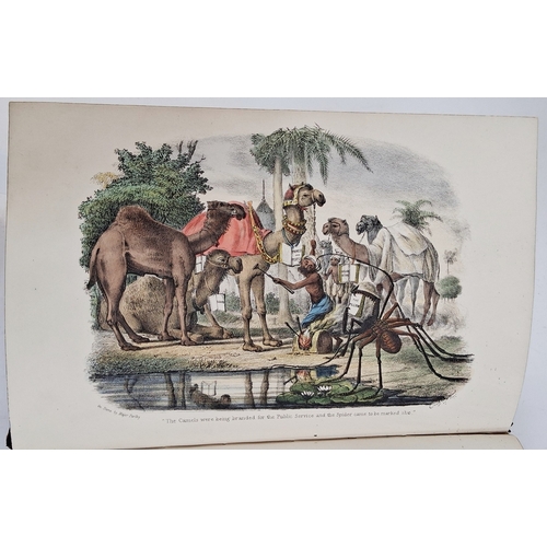 59 - Parks, Fanny (Frances Susanna Archer 1794-1875) 'Wanderings of a Pilgrim in Search of the Picturesqu... 