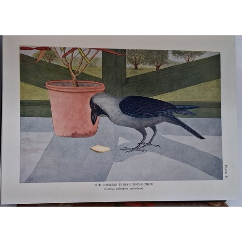 60 - Natural History - to include Fletcher, T. Bainbrigge and Inglis C.M. 'Birds of an Indian Garden' sec... 