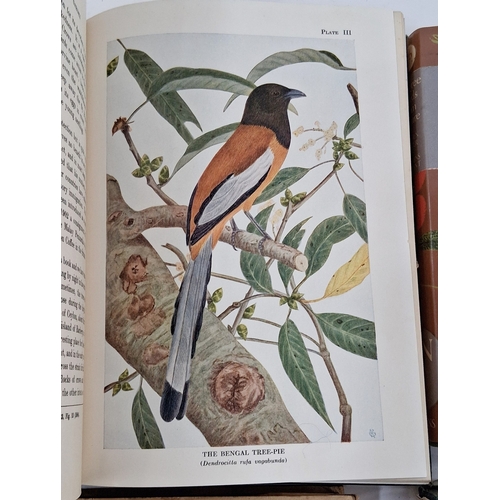 60 - Natural History - to include Fletcher, T. Bainbrigge and Inglis C.M. 'Birds of an Indian Garden' sec... 