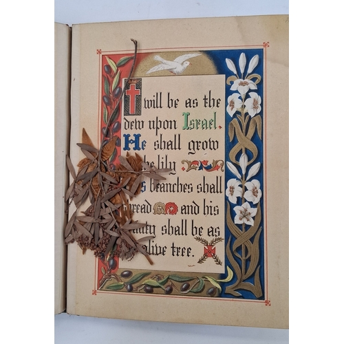 67 - Blackmore, C. E. (ills) 