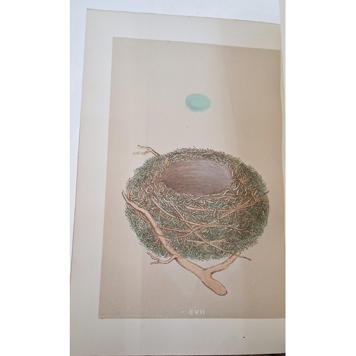 72 - Morris, Reverend F. O. 