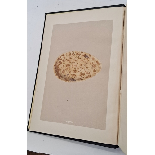 72 - Morris, Reverend F. O. 