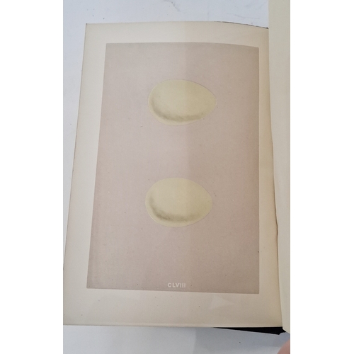 72 - Morris, Reverend F. O. 