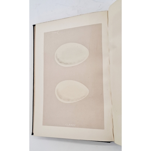 72 - Morris, Reverend F. O. 