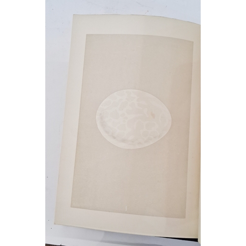 72 - Morris, Reverend F. O. 