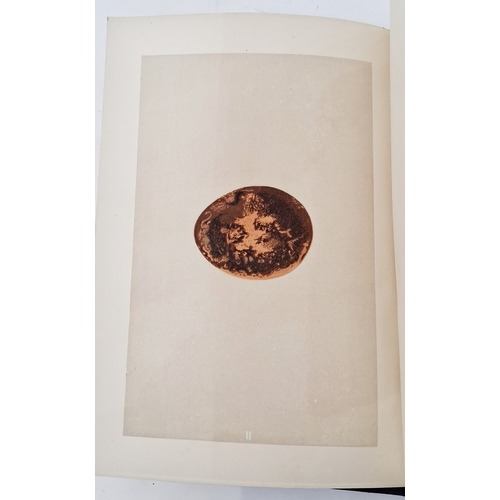 72 - Morris, Reverend F. O. 