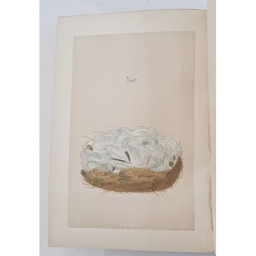 72 - Morris, Reverend F. O. 