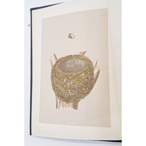 72 - Morris, Reverend F. O. 