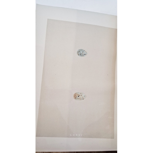 72 - Morris, Reverend F. O. 