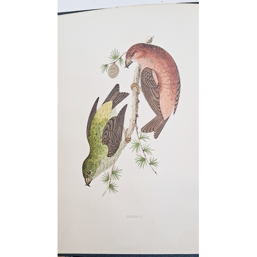 73 - Morris, Reverend F. O. 