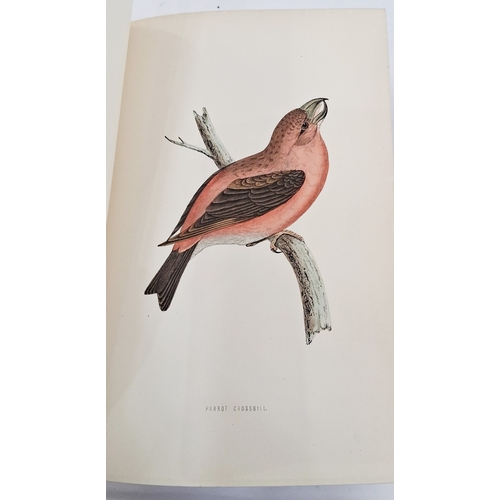 73 - Morris, Reverend F. O. 