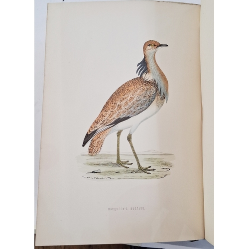 73 - Morris, Reverend F. O. 